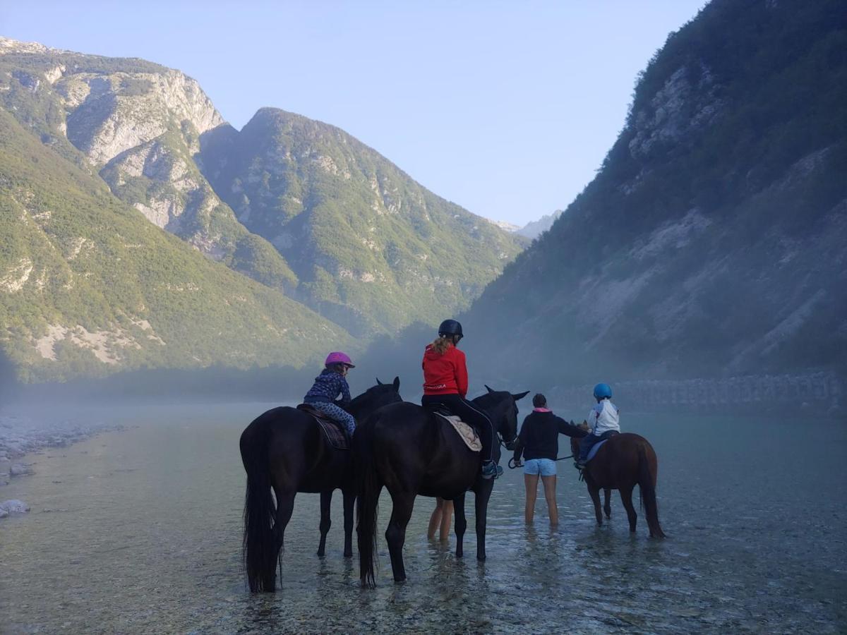 Apartment Baban In Zaga, Slovenia Eksteriør bilde