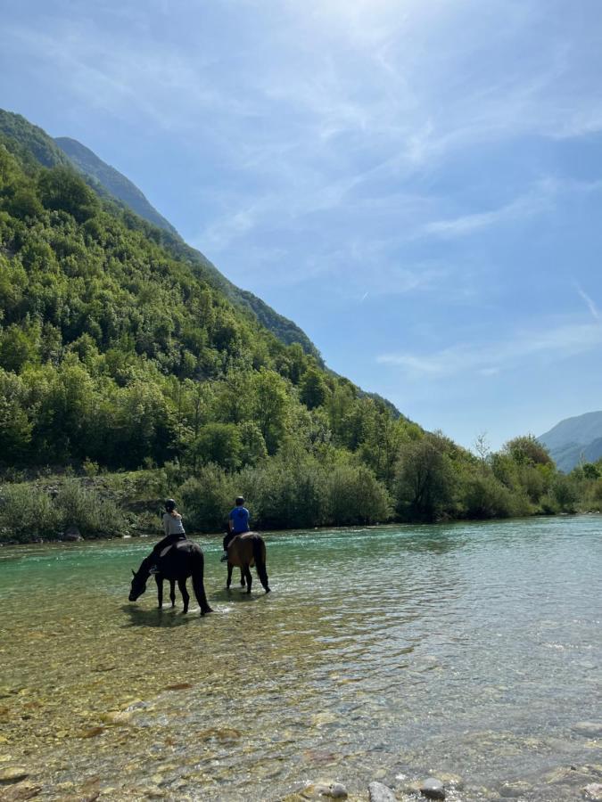 Apartment Baban In Zaga, Slovenia Eksteriør bilde